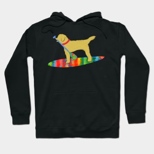 Colorful Stand Up Paddle Board Goldendoodle Dog Hoodie